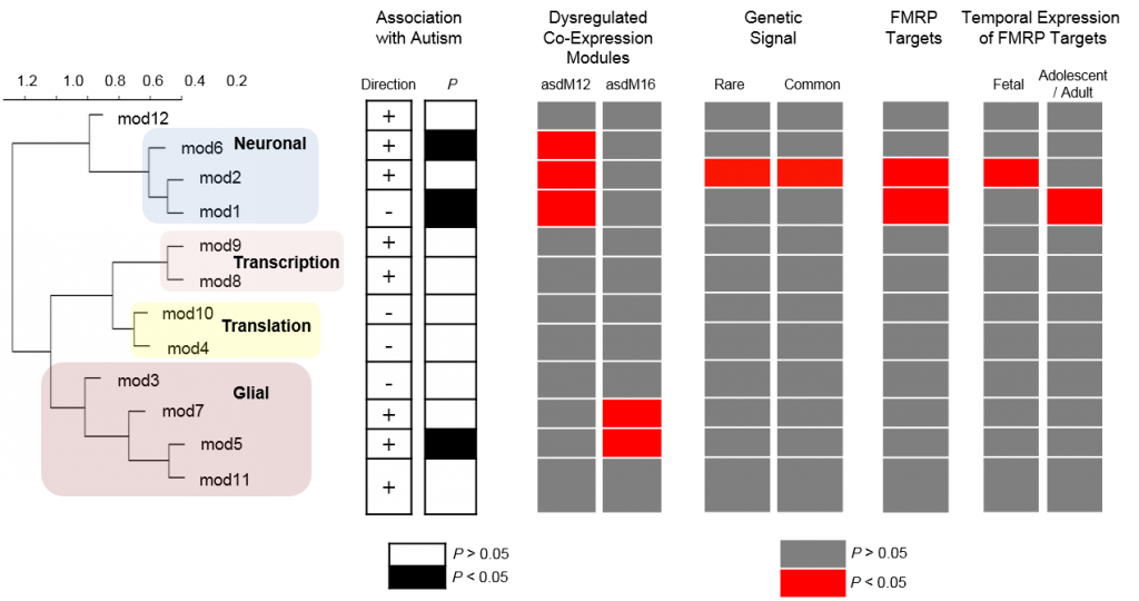 Weighted gene correlation network analysis (WGCNA) identifies 12 co-expression modules